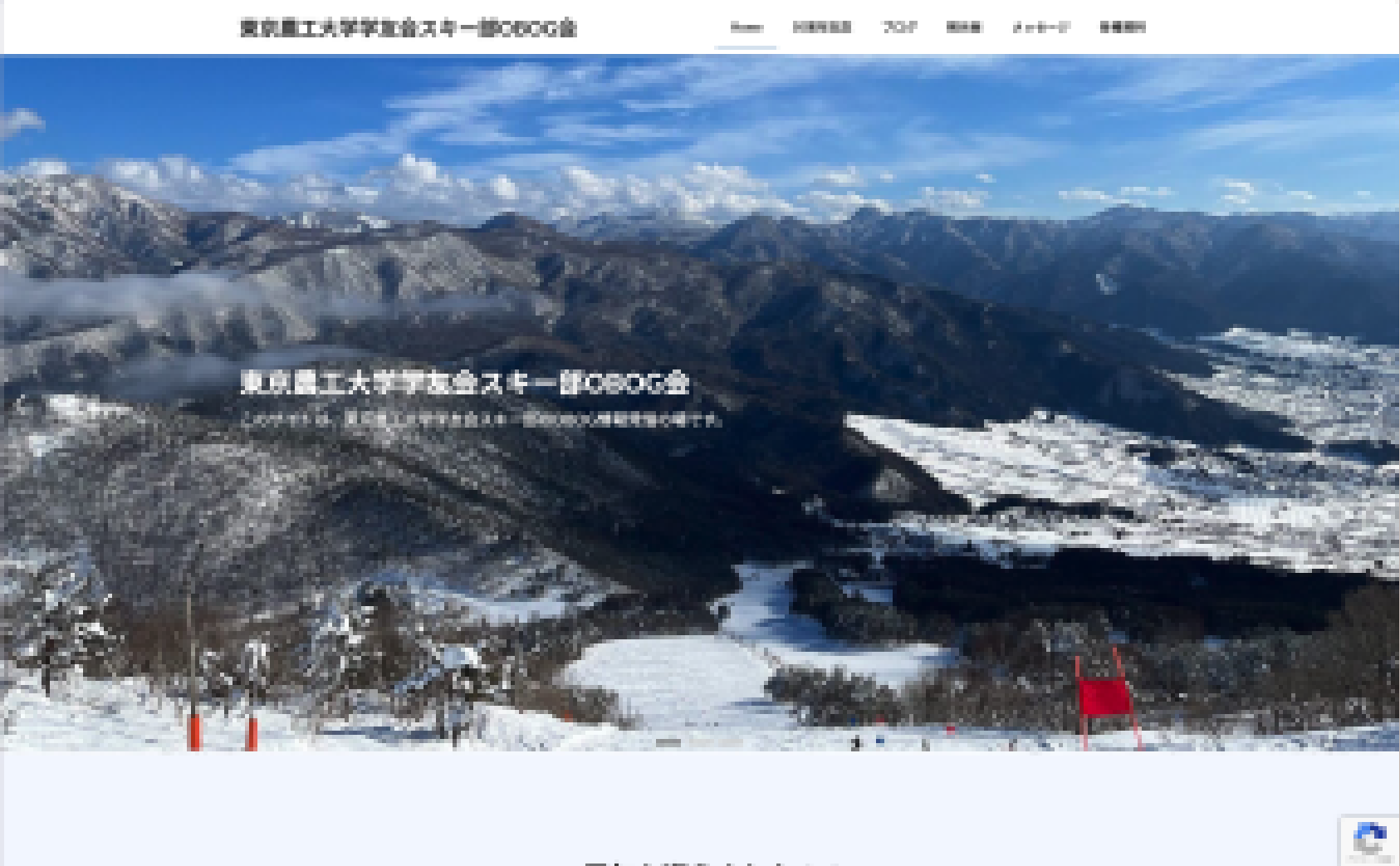 スキーチーム用Webサイト